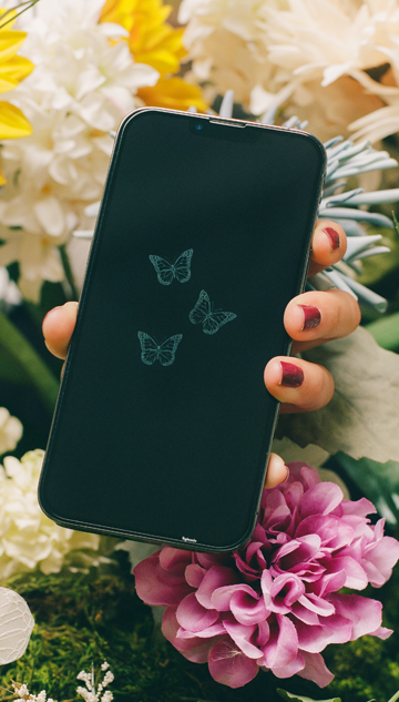 Butterflies - Privacy